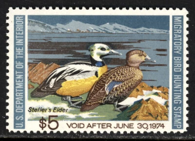 SCOTT RW40 1973 $5 STELLER'S ELDER DUCK STAMP ISSUE MNH OG VF CAT $18! - Image 1 of 2