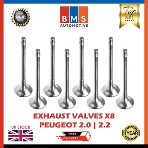 JUEGO VÁLVULAS ESCAPE PEUGEOT BOXER PLATAFORMA CHASIS DW10FUD 2.0L DIÉSEL R6596/BMCR - Imagen 1 de 8