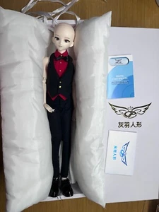 bjd doll  1/4 Gray Plumage Male Resin body and pvc head full set outfit include - Picture 1 of 3