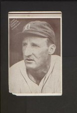 1934 Detroit Tigers Annis Furs Team Issue Leon Goose Goslin HOF TOUGH!