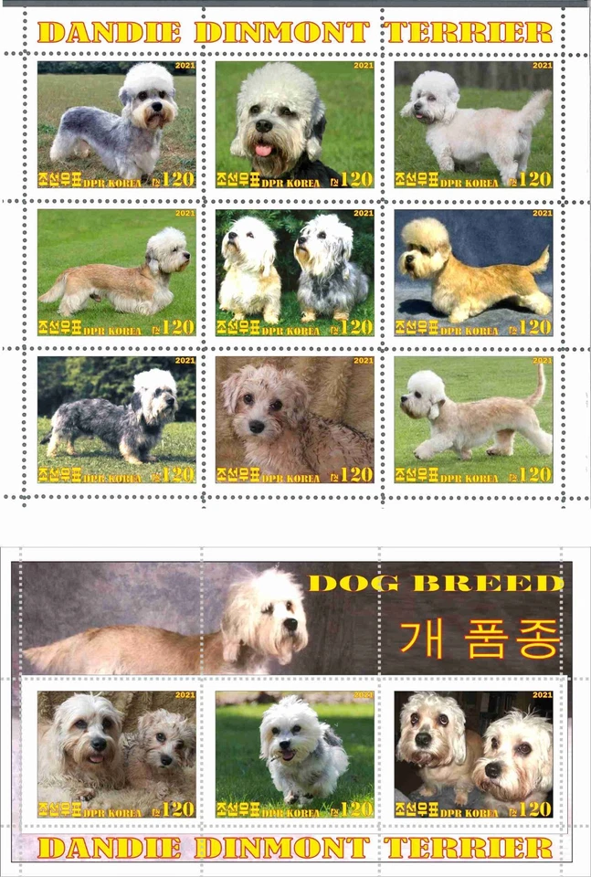 Stamp sheet+block Dandie Dinmont Terrier 2021 Korea issue - Image 1 of 1