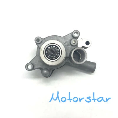 Original Buyang Water Pump Assy BUYANG 300CC ATV QUAD D300 G300 ATV parts - Image 1 of 4