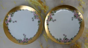 Due piatti Fischer & Mieg di Pirkenhammer, Boemia decorativi floreali firmati 1913 - Foto 1 di 6