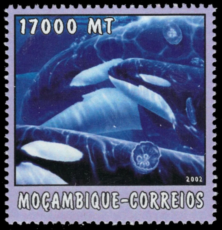 MOZAMBIQUE 1651b - Killer Whale "Orcinus orca" (pb48641) - Image 1 of 1