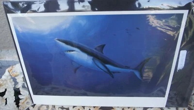 ROBERT WYLAND EDIÇÃO LIMITADA EM RELEVO LITOGRAFIA: "ÓTIMO BRANCO" ESTADO PERFEITO com IMPRESSÃO COA - Imagem 1 de 4