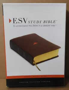 (ESV) SYSTEMATIC THEOLOGY STUDY BIBLE ENGLISH STANDARD VERSION 2007 CROSSWAY VG+ - Picture 1 of 9