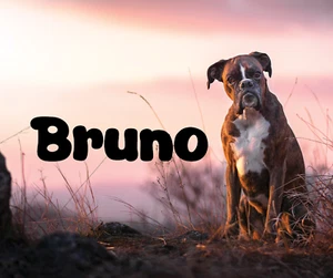 Personalised Dog Animal Mouse Mat Pad Gift -Upload a Photo of your DOG and NAME - Picture 1 of 1