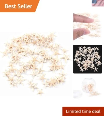 Tiny Starfish Marine Life Collection - 90 Pieces for DIY Beach Decor & Education - Image 1 of 4