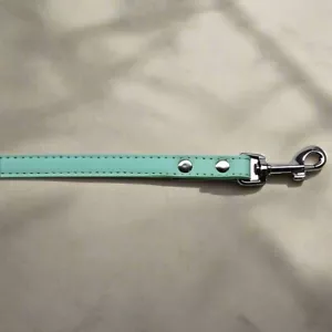 Turquoise Dog Leash, Premium 1/2" Wide, 6' Long, Made in the USA, Retail $13.79 - Picture 1 of 1