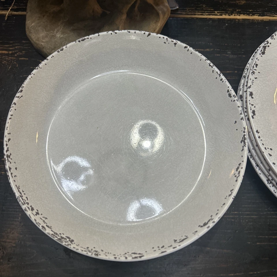 Juego de 8 piezas de melamina Tommy Bahama beige crema craquelada 4 platos de cena 4 cuencos  Foto 1 de 4