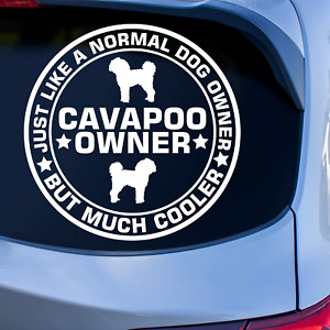 Cavapoo Sticker | Dog Stickers For Cars | Like A Normal Owner But Much Cooler