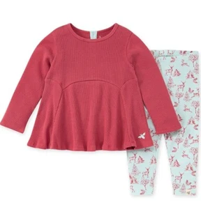 Burt's Bees Baby Girls' Top and Pant Set, Tunic and Leggings Bundle Size 3/6 mon - Picture 1 of 5