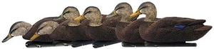 Señuelo Avian X Top Flight Duck, flotador de pato negro flocado, paquete de 6, AVX-AVX8075 - Imagen 1 de 6