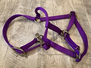 Large Horse Adjustable Halter - Purple - Picture 1 of 3