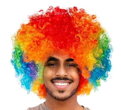 Unisex Short Fluffy Afro Funny Wigs for HalloweenHoliday Party Clown Costume 116 Foto 1 de 4