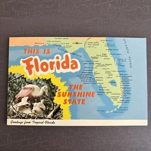 LARGE LETTER image Postcard Greetings from Tropical FLORIDA with MAP 1974 - Picture 1 of 2