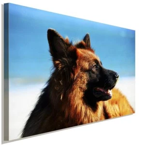  Deutscher Schäferhund AK Art Bilder Premium Kunstdruck  Top Leinwandbilder XXL - Bild 1 von 5