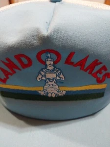 Land O Lakes Trucker/Baseball Hat With  Retired Native American Logo Vintage  - Picture 1 of 5