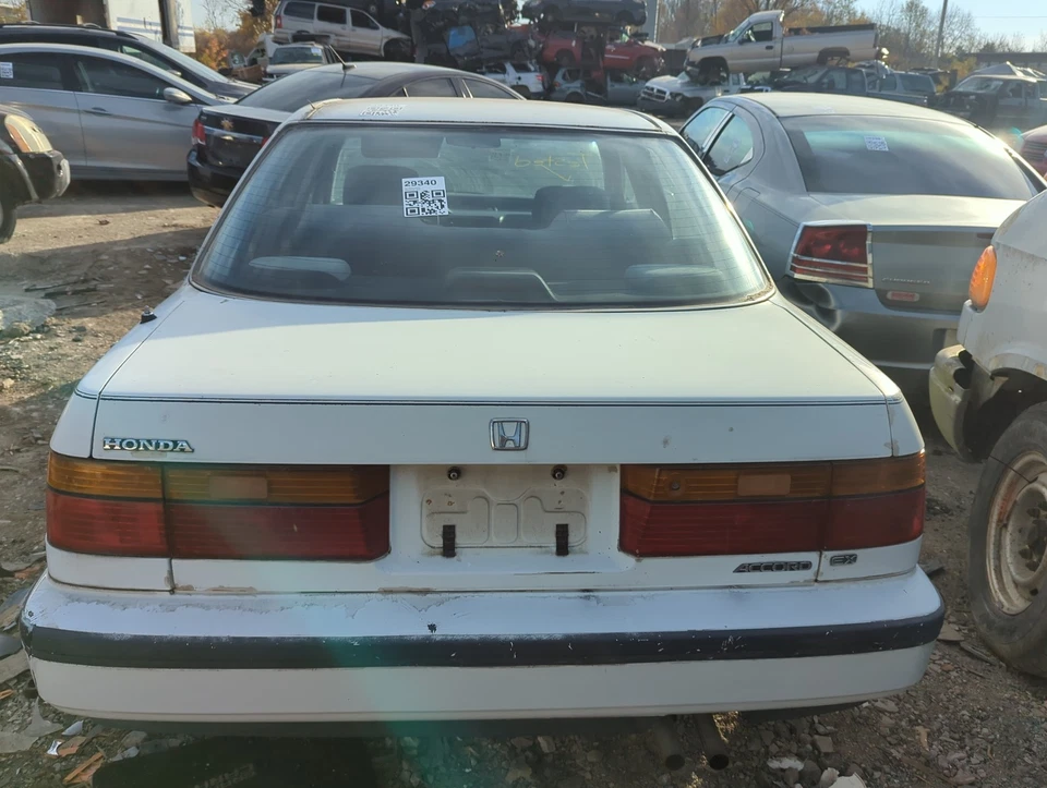1991 Honda Accord Trunk/decklid/hatch/tailgate Oem LK99F Foto 1 de 1