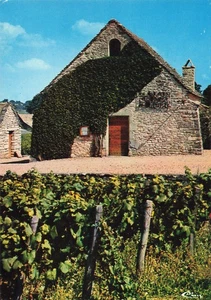 71 MERCUREY LA CAVEAU - Bild 1 von 2