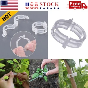 250 PCS Tomato Clips 23 mm Trellis Support Vegetable Garden Plant Binder - Picture 1 of 10