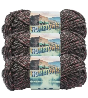 (3 Pack) Lion Brand Yarn 135-222J Hometown Bulky Yarn, Salem Creek - Image 1 of 4