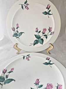 Easterling Radiance China Bavaria Set of 2 Dinner Plates 10.5" EC - Picture 1 of 5