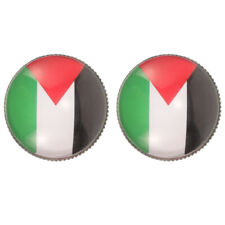  2pcs Palestine Flag Brooches Flag Pin Men Suit Brooch Clothing Badge Metal