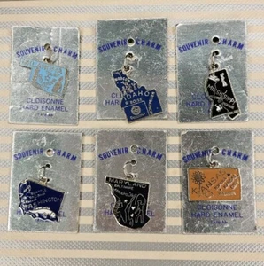 Vintage Cloisonné Hard Enamel State Charm Lot Of 6 OK, ID, MS, WA, MD, KS #1 - Picture 1 of 1