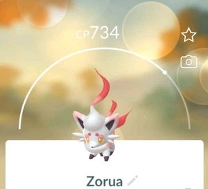 Pokemon GO/Hisuian ZORAU/Registrado o no registrado Tr@de disponible - Imagen 1 de 1