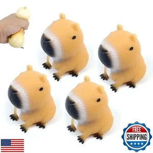 Gytera 4 Packs Squeeze Capybara Fidgets Stress Balls Fidget Toys Adults Kids - Picture 1 of 5