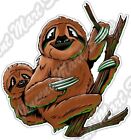 Sloth Baby Sloths Wildlife Jungle Animal Car Bumper Vinyl Sticker Decal 4.6"