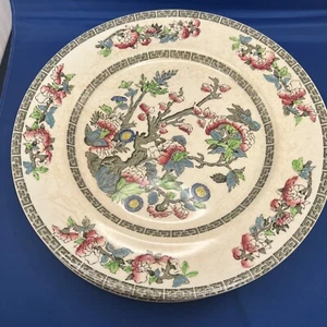Indian Tree Lot Of 6 Dinner Plates Johnson Brothers Green Greek Key (O2) AS IS - Picture 1 of 12