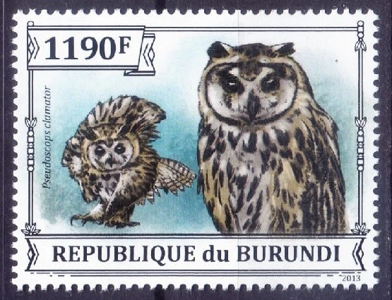 Búho rayado, clamador pseudoscops, Birds of Prey, Burundi 2013 MNH  Foto 1 de 1