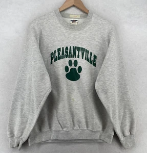 PLEASANTVILLE Sweatshirt Youth L Panthers NY School Long Sleeve Pullover Gray - Picture 1 of 16