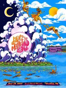 Dave Matthews Band DMB Summer 2022 Wantagh NY Jones Beach Poster by James Flames - Picture 1 of 9