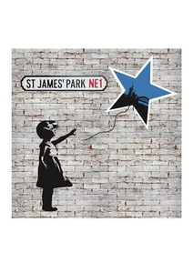 Newcastle SJP A4 Print - Picture 1 of 1