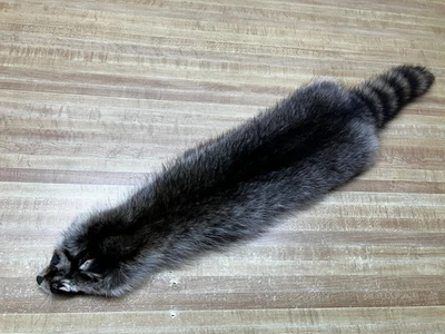 Pieles de mapache, pieles, curtidas Foto 1 de 2