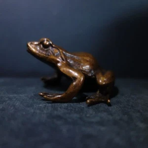 fino bronce fundido de una rana - Imagen 1 de 10
