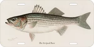 SHERMAN DENTON NORTH AMERICA STRIPED BASS FISHING CAR METAL LICENSE PLATE - Picture 1 of 1