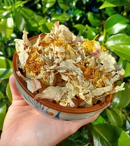Organic White Lotus Flower (Dried) Nelumbo Nucifera, Pundareeka | Anxiety, Mood - Picture 1 of 2