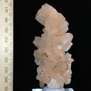 Stilbite Zeolite crystals on coral Mordenite formation mineral specimen 400ct - Picture 1 of 9