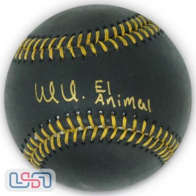 Wilfred Veras Medias Blancas Firmado "El Animal" Negro Grandes Ligas Béisbol USASM JSA Foto 1 de 4