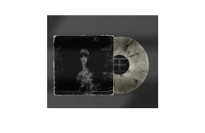 Reflections – Willow VINYL DEATHCORE NEVER PLAYED /100 NATURAL PVC MIX - Picture 1 of 5