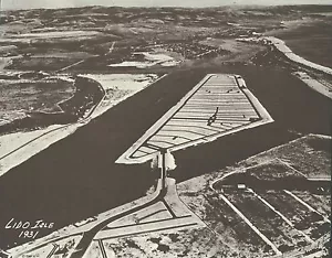 "Vista aérea NEWPORT PLAYA LIDO ISLA alrededor de 1931 impresión fotográfica 968 11"" x 14" - Imagen 1 de 1