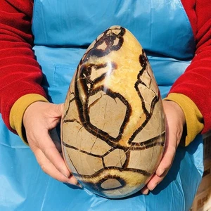 11,11 Pfund natürlicher Schildkrötenrückenstein Eiform Drache Kristall Riss Heilung - Bild 1 von 16