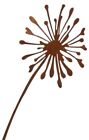 Metall Stecker. PUSTEBLUME. Rost Gartenstecker, Roststecker Edelrost Blume 75 cm