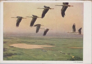 Postcard Karl Ewald Olszewski Ziehende Störche Migrant Storks 4x6 10266.b - Picture 1 of 7