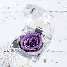  Lotus Tealight Candle Holder Romantic Gift Preserved Eternal Flower Roses