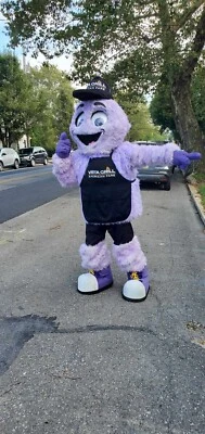 Personalizada Mascota PÚRPURA Personalizada Personalizada Personalizada Hecha Profesionalmente Hermosa EE. UU.  Foto 1 de 4